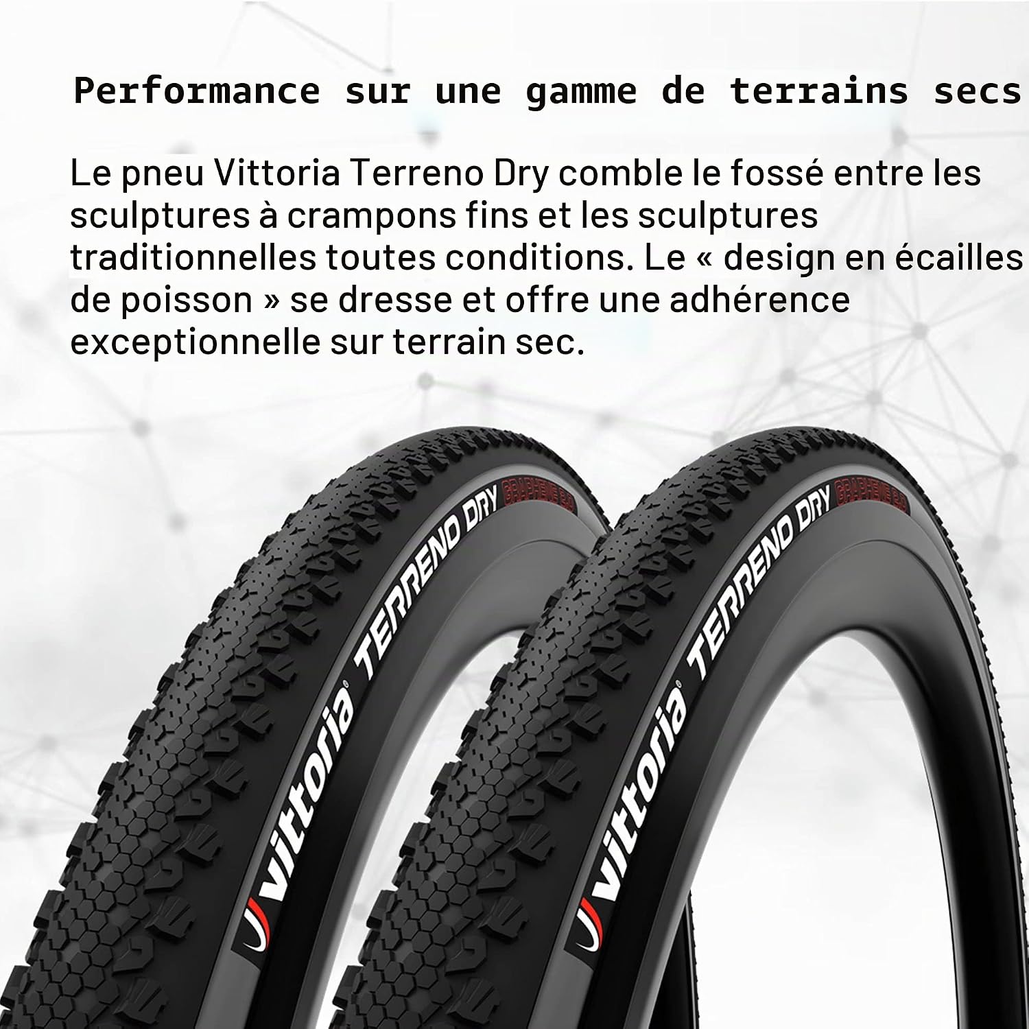 Vittoria Terreno Dry G2.0 TNT Cyclocross/Gravel Bicycle Tire Noir Taille unique