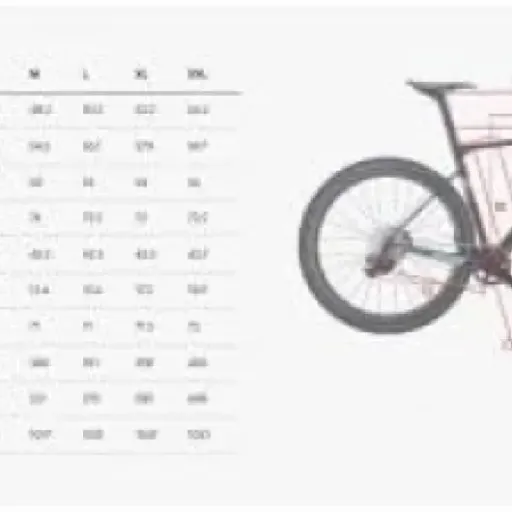 Test WILIER RAVE SL 105 Di2 : le vélo polyvalent pour tous les terrains