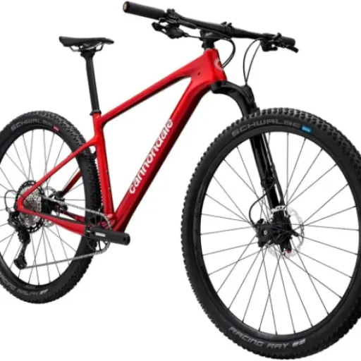 Test Cannondale Scalpel HT Carbon 2 : un vélo qui promet vitesse et légèreté