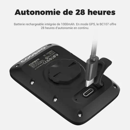 61CIWi1FNlL._AC_SL1500_