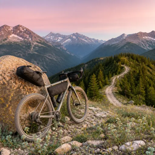 Gravel dans les Alpes en été : cols d'altitude et pistes forestières à explorer